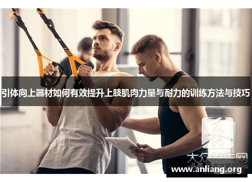 引体向上器材如何有效提升上肢肌肉力量与耐力的训练方法与技巧